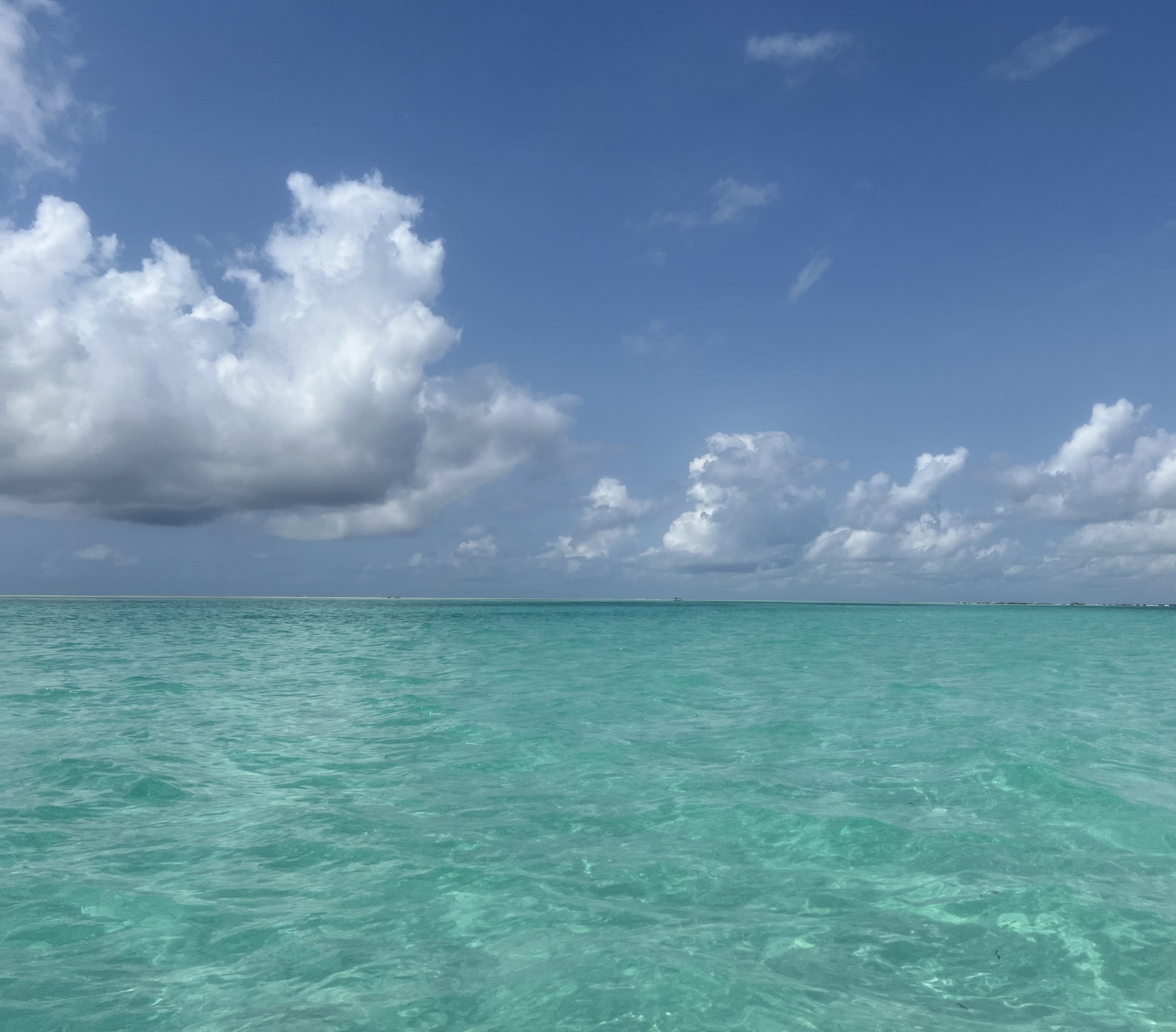 Seashell Studio open sea background